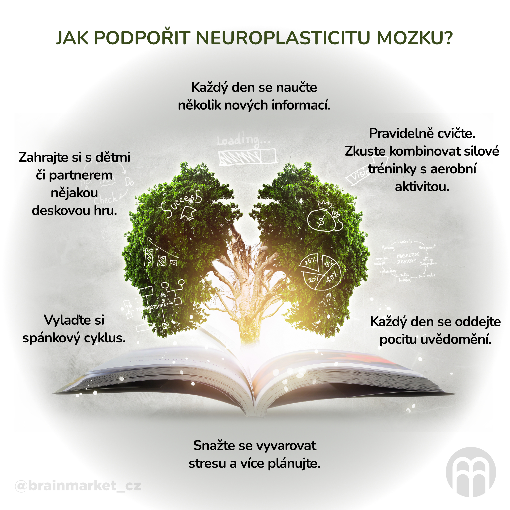 Jak podpořit neuroplasticitu mozku__infografika_cz